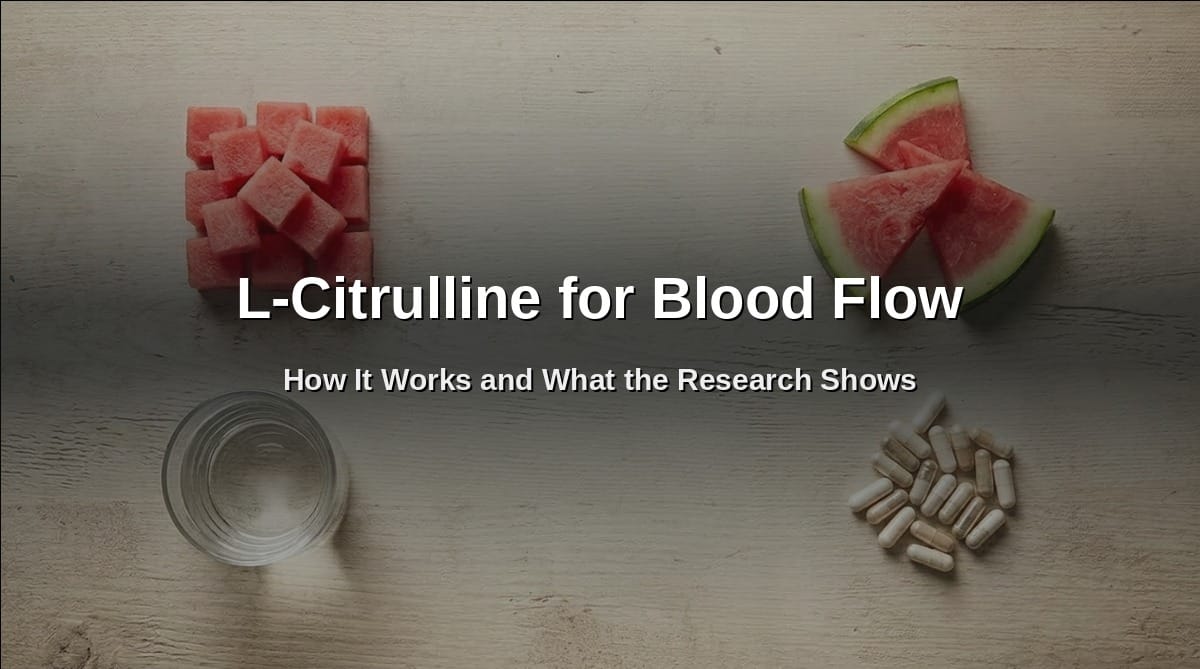 L-Citrulline for Blood Flow: How It Works and What the Research Shows